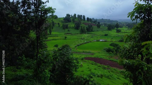 Aerial shot of green Indian landscape revealing through trees. photo