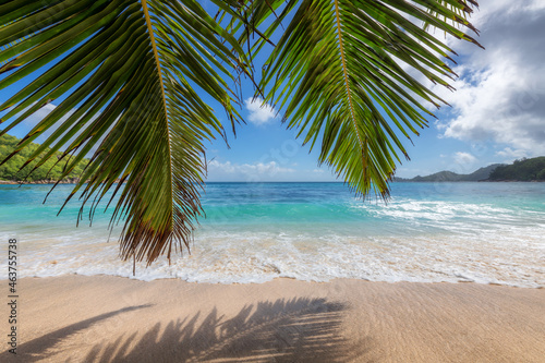 Paradise sandy beach with leaves of palm trees. Summer vacation and tropical beach concept.