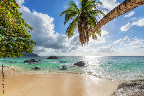 Coco palms over tropical beach at Sunset and the turquoise sea in Paradise island.