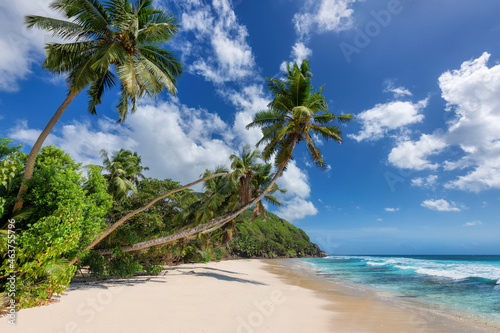 Tropical sandy beach with coconut palm trees in Caribbean island and turquoise sea. Summer vacation and tropical beach concept