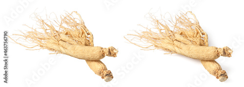 Dried ginseng isolated on white background photo