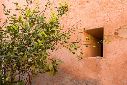 Traditional colored small street in Morocco, Africa