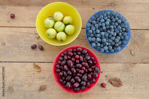 Still life with forest fruits