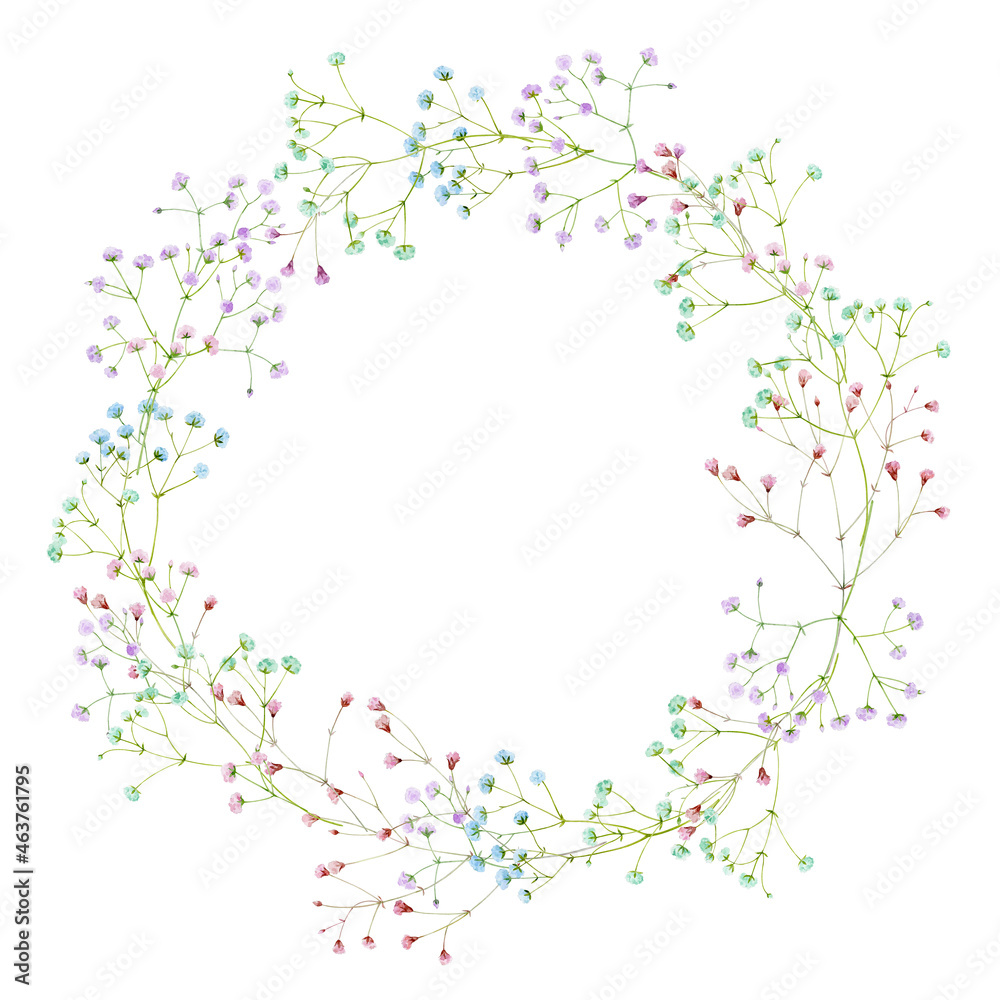 A delicate wreath of gypsophila flowers of different colors. Watercolor illustration. A delicate wreath of gypsophila flowers of different colors. Watercolor illustration.