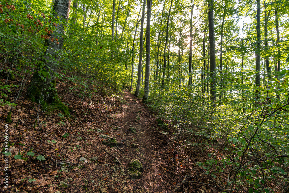 Wonderful autumn hike near Beuron in the Upper Danube Nature Park Wonderful autumn hike near Beuron in the Upper Danube Nature Park