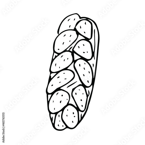 Hala Israeli bread vector illustration, hand drawing doodle