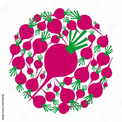 Fototapeta Naklejka Na Ścianę i Meble -  Red radishes in circle. Vector flat design template. Background of food, farm, gardening or horticulture.