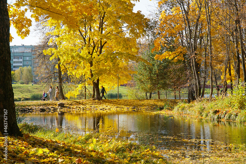 Golden autumn in the park. Orange Forest and Pond.