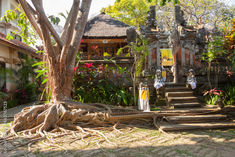Indonesia, Bali, Ubud village; tempel overgrown by fig roots