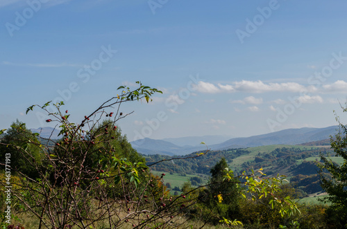 Fototapeta Naklejka Na Ścianę i Meble -  Panorama z Połoniny Wetlińskiej Bieszczady 