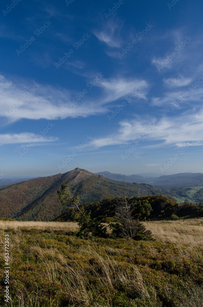 Fototapeta premium Bieszczady panorama 