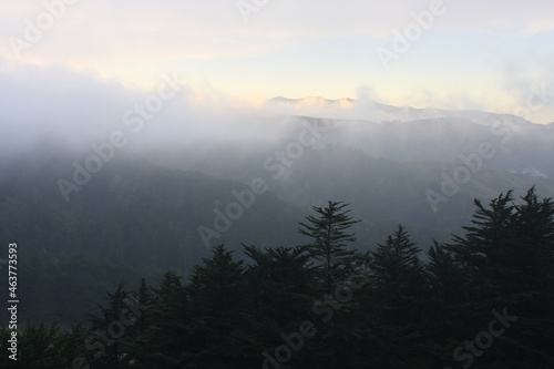 low cloud  mist and fog in the mountains. Northern California.