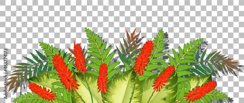 Flower bush with leaves on transparent background