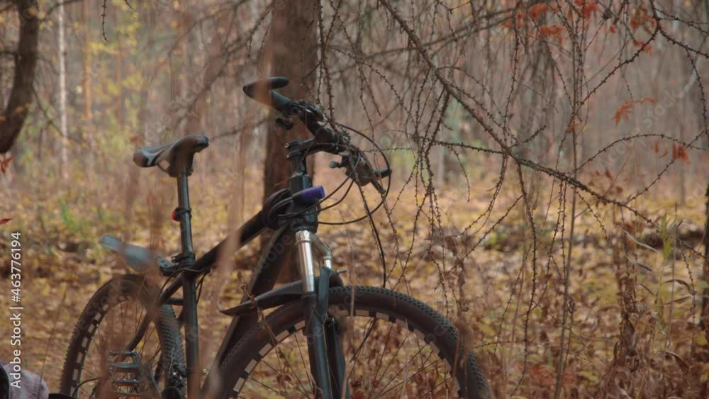 Bicycle standing among the foliage in the autumn forest on a beautiful sunny day. Concept of Forest Cycling, Healthy and Active Lifestyle. Smooth camera movement