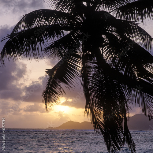 Seychellen La Digue  Strand  Palme  Sonnenuntergang