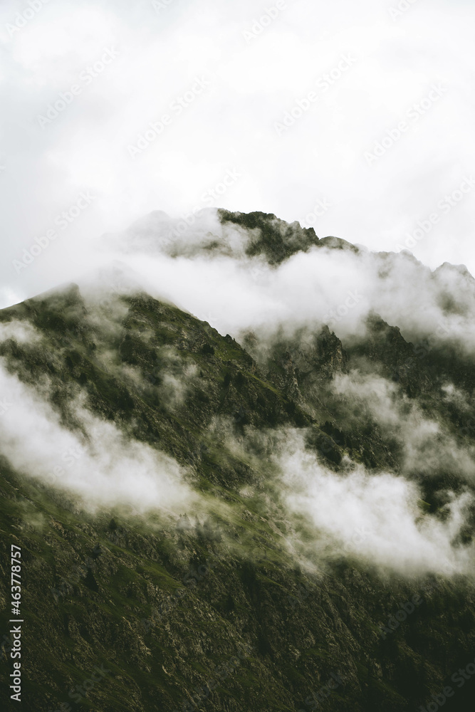 Nuage et forêt.