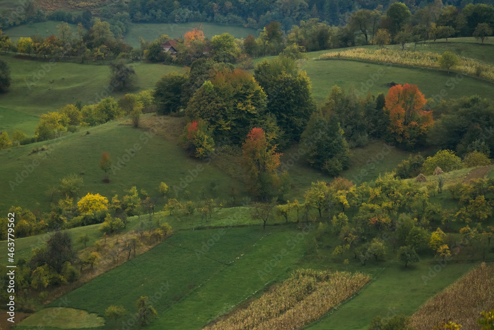 Autumn Landscape in the rural part of Romania - Rosia, Bihor