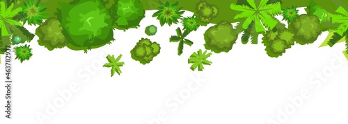 Jungle forest top view. Trees and shrubs. Horizontal seamless composition. Overgrown rainforest. Isolated on a white background. Cartoon style flat design. Illustration vector
