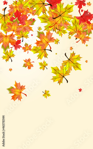 Yellow Leaf Background Beige Vector. Leaves October Texture. Orange Bright Foliage. Isolated Floral Frame.