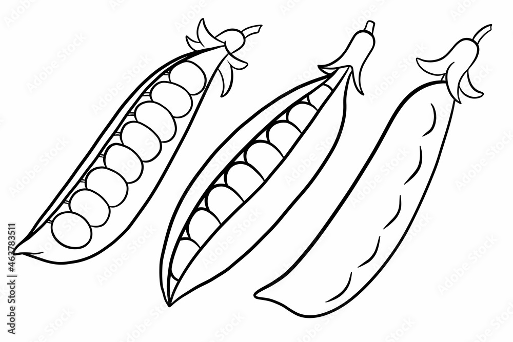 Peas set. Closed and open green pea pods.