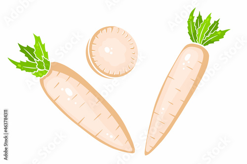 Daikon set. Fresh daikon and sliced wedges.