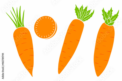 Carrot set. Fresh carrots and slices. In a cartoon style.