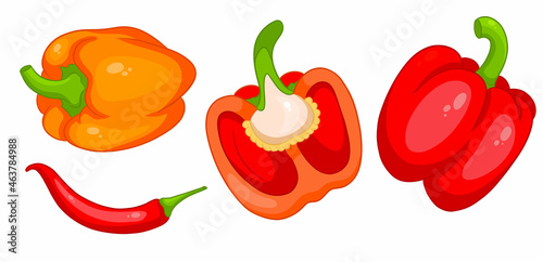 Pepper set. Fresh bell peppers and hot peppers.