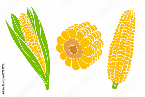 Corn set. Fresh corn cobs with and without leaves.