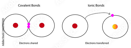 Covalent and ionic bonds