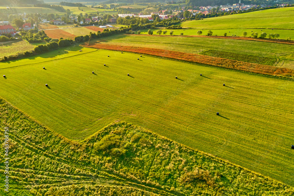Aerial view of green agricultural fields. Countryside background. Nature landscape