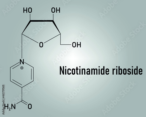 Nicotinamide riboside (NR) molecule. Precursor of nicotinamide adenine dinucleotide (NAD). Skeletal formula. photo