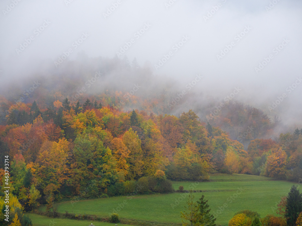 AERIAL Stunning colorful forest with burning turning leaves on misty autumn day