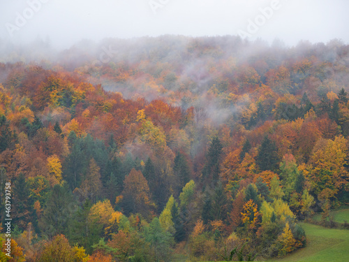 AERIAL: Morning mist covering tree tops of a stunning autumn forest.