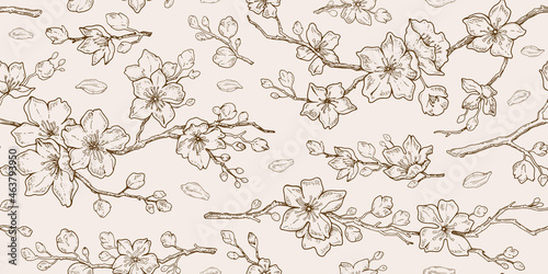 Sakura blossom pattern. Cherry flower seamless vector background. Floral japanese or chinese black line art. Spring vintage tree branch. Sketch outline illustration. Hand drawn seamless sakura pattern