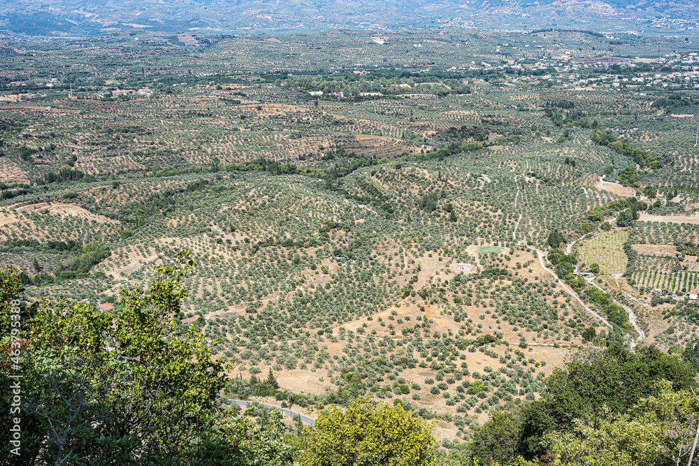 Landschaft um Mystras bei Sparta, Peloponnes, Griechenland