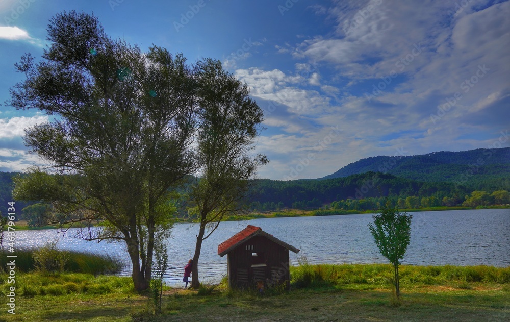 Obraz premium house on the lake