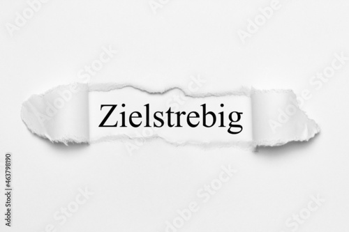 Zielstrebig photo