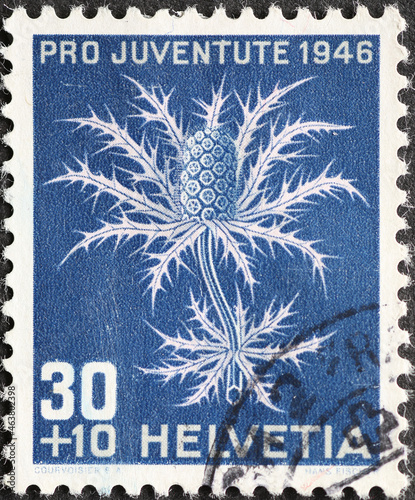 Foto Switzerland - Circa 1946: a postage stamp printed in the Switzerland showing an alpine flower the Alpendistel