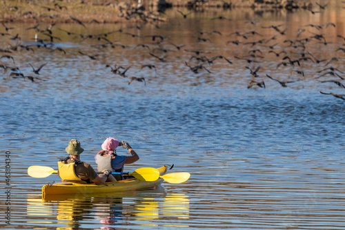 People in a kayak watching a flock of birds
