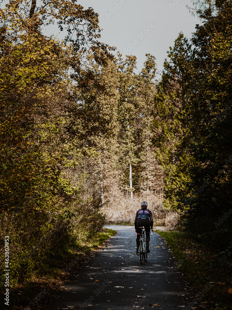 Woman cyclist riding along a road in autumn forest. Road cycling in forest.