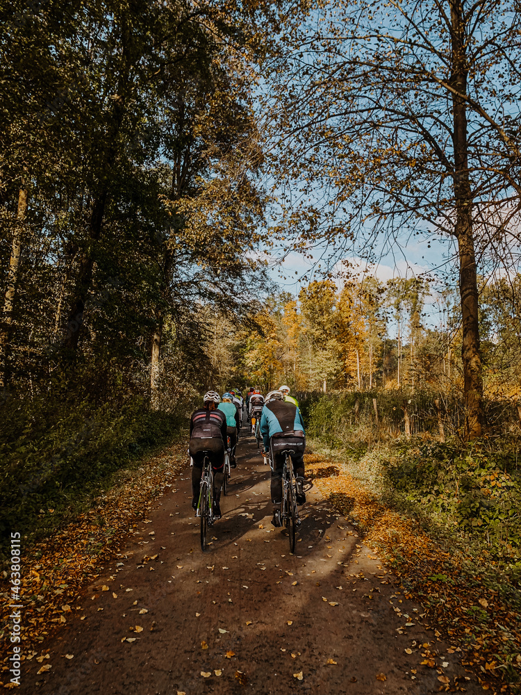 Group of cyclist riding along a road in autumn forest. Road cycling in forest. Group of cyclist riding along a road in autumn forest. Road cycling in forest.