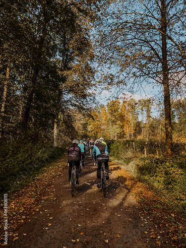 Group of cyclist riding along a road in autumn forest. Road cycling in forest.
