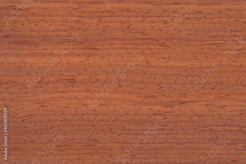 Padouk Exotic wood panel texture pattern photo