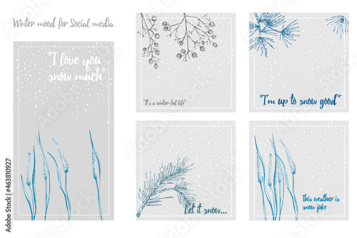 Hand-drawn sketch Christmas plants social media post with pine cones, berries, branches, leaves in engraving style. Vintage herbal border Xmas retro decor Wedding graphic Hello, winter. Vector
