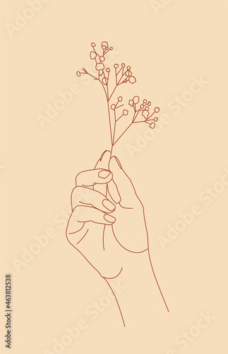 A female hand holds a twig. Line drawings. Contour illustrations. Bohemian prints. Femininity and flora. Vector illustration.