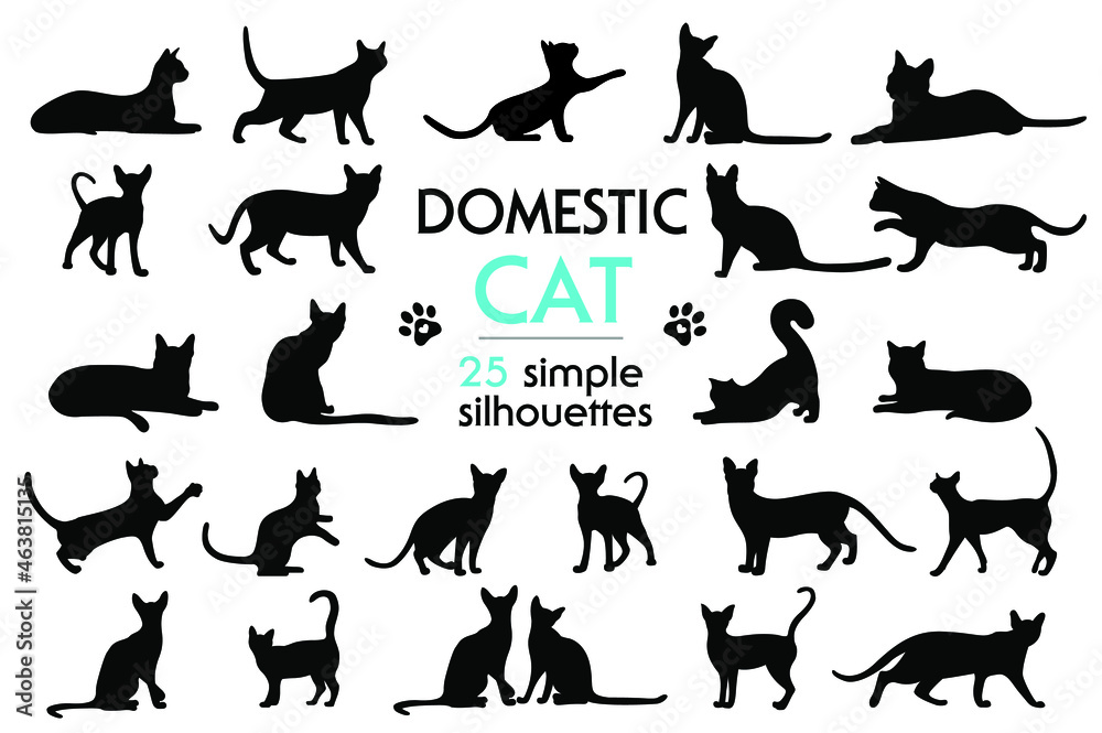Big set of vector feline silhouettes as well. Silhouettes of cats in different poses. Cat paw prints. Silhouettes of pets. Animal prints.
