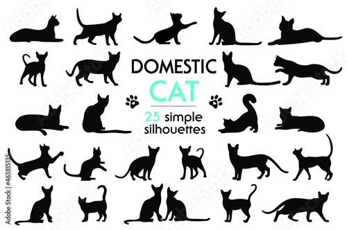 Fototapeta Naklejka Na Ścianę i Meble -  Big set of vector feline silhouettes as well. Silhouettes of cats in different poses. Cat paw prints. Silhouettes of pets. Animal prints.