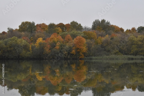 Осень. Отражение в воде Autumn. Reflection in water