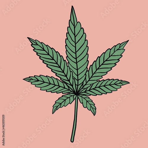 simplicity cannabis leaf freehand drawing flat design.