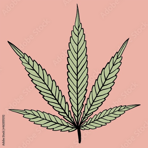 simplicity cannabis leaf freehand drawing flat design.